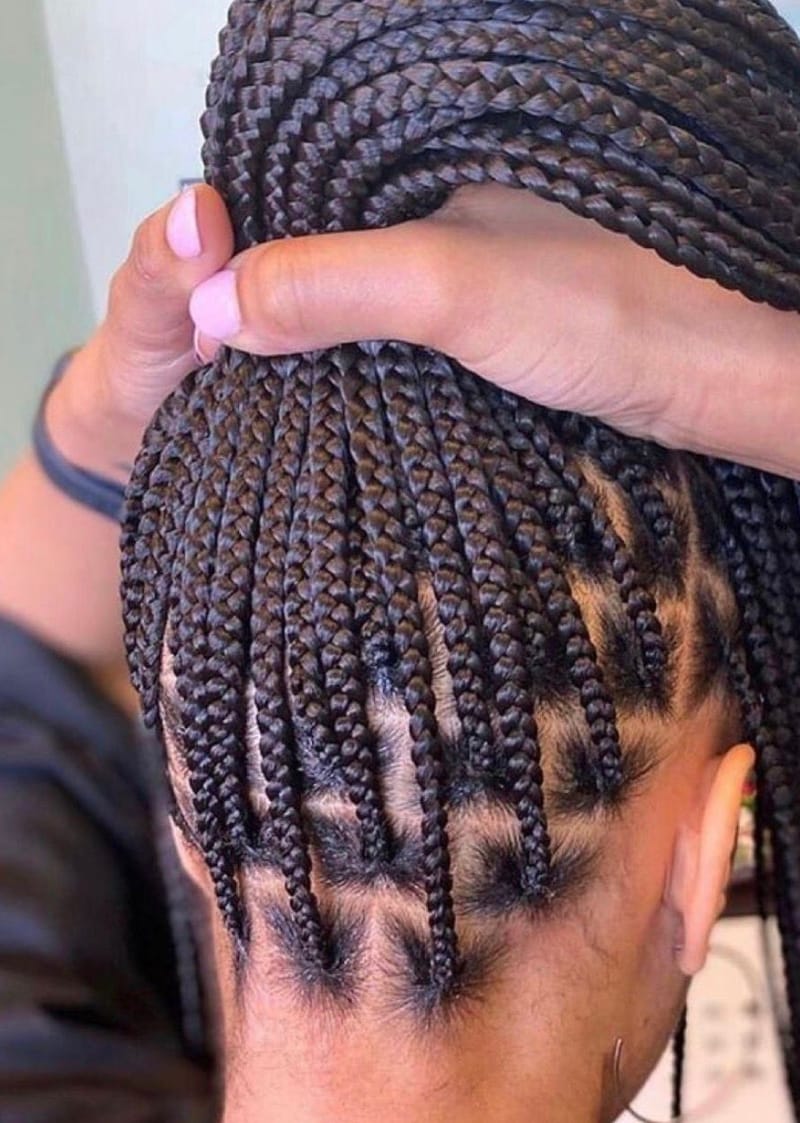 Knotless braids samlade i en hög hästsvans, sedda bakifrån med rena delningar i nacken